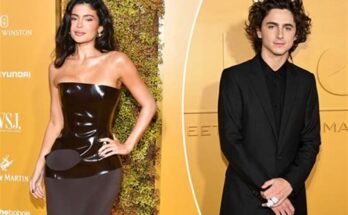 Kylie Jenner & Timothée Chalamet's Red-Carpet Debut