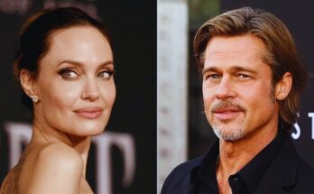 Angelina Jolie & Brad Pitt’s Shocking Update