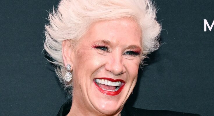 Anne Burrell's Final Instagram Post Before Death Stuns Fans