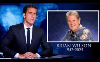 Brian Wilson, Beach Boys Co-Founder