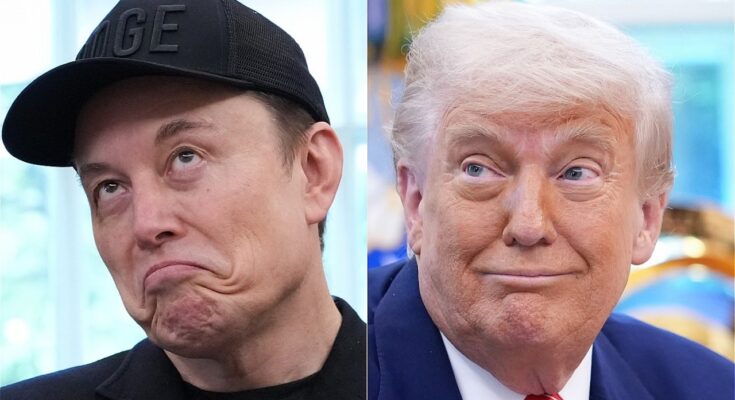 Trump & Elon Musk's Bromance Breakup Turns Nasty