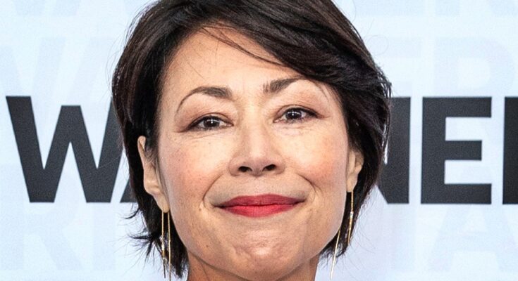 Where Did Ann Curry Go After Today Show? Career Update